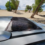 redwood on sunroof